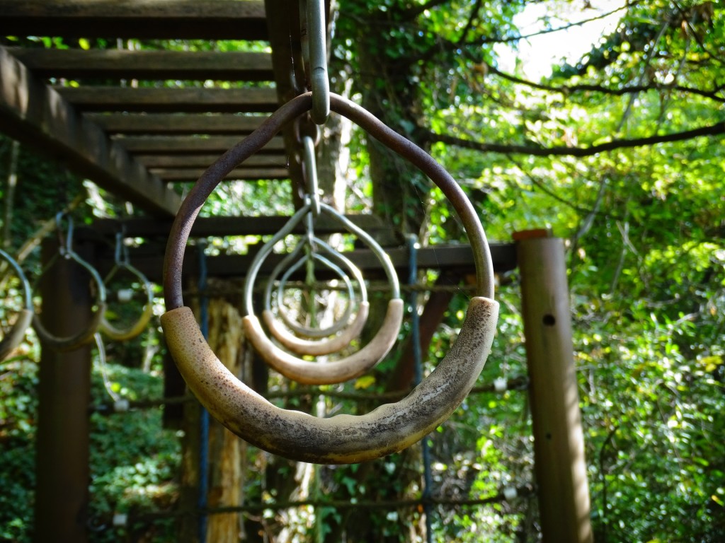 How To Install Gymnastic Rings At Home Or Your Garage Gym