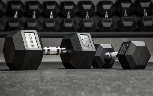 Rogue Dumbbells