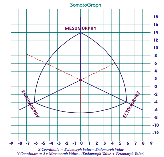 Somatotype Chart