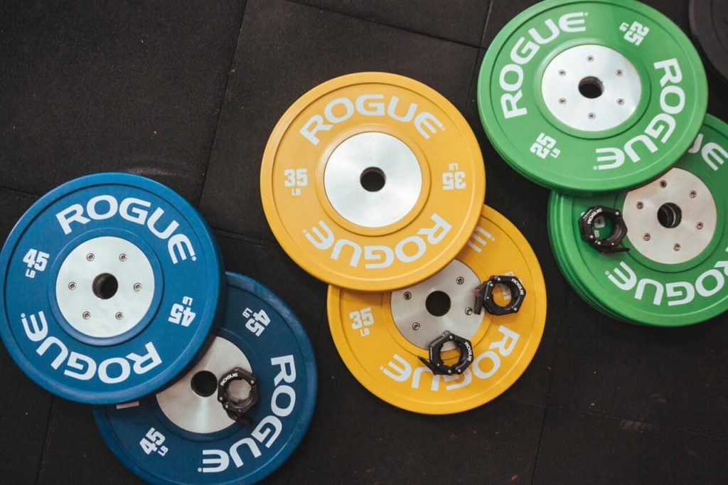 rogue gym bumper plates